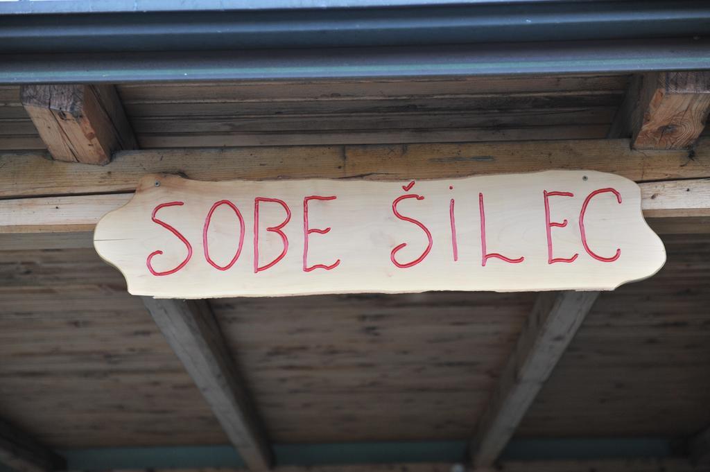 Apartment Silec Smarje pri Jelsah Exteriör bild